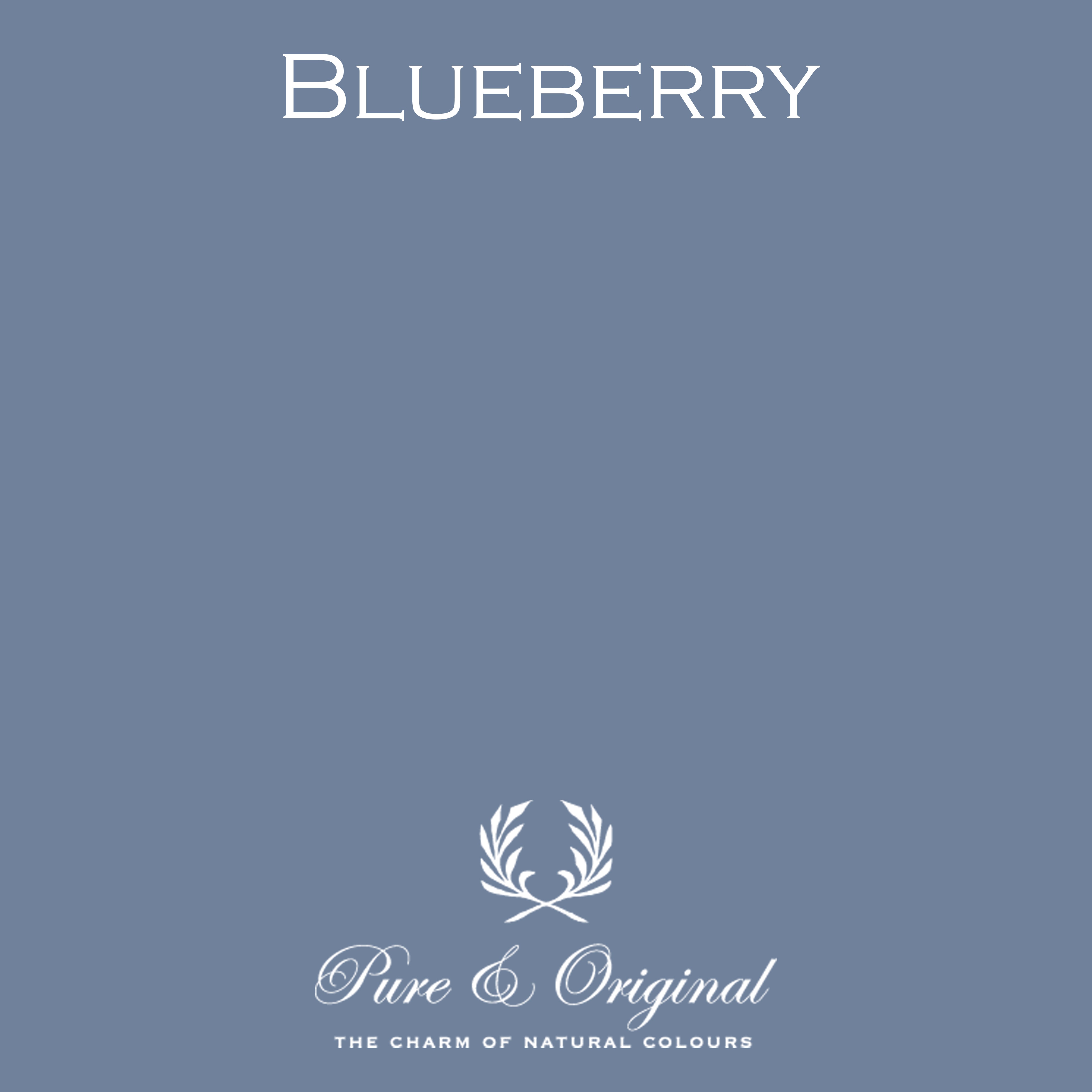 Traditional Paint Eggshell "Blueberry"