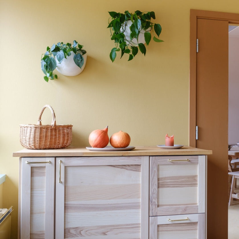 Licetto "Butterscotch"