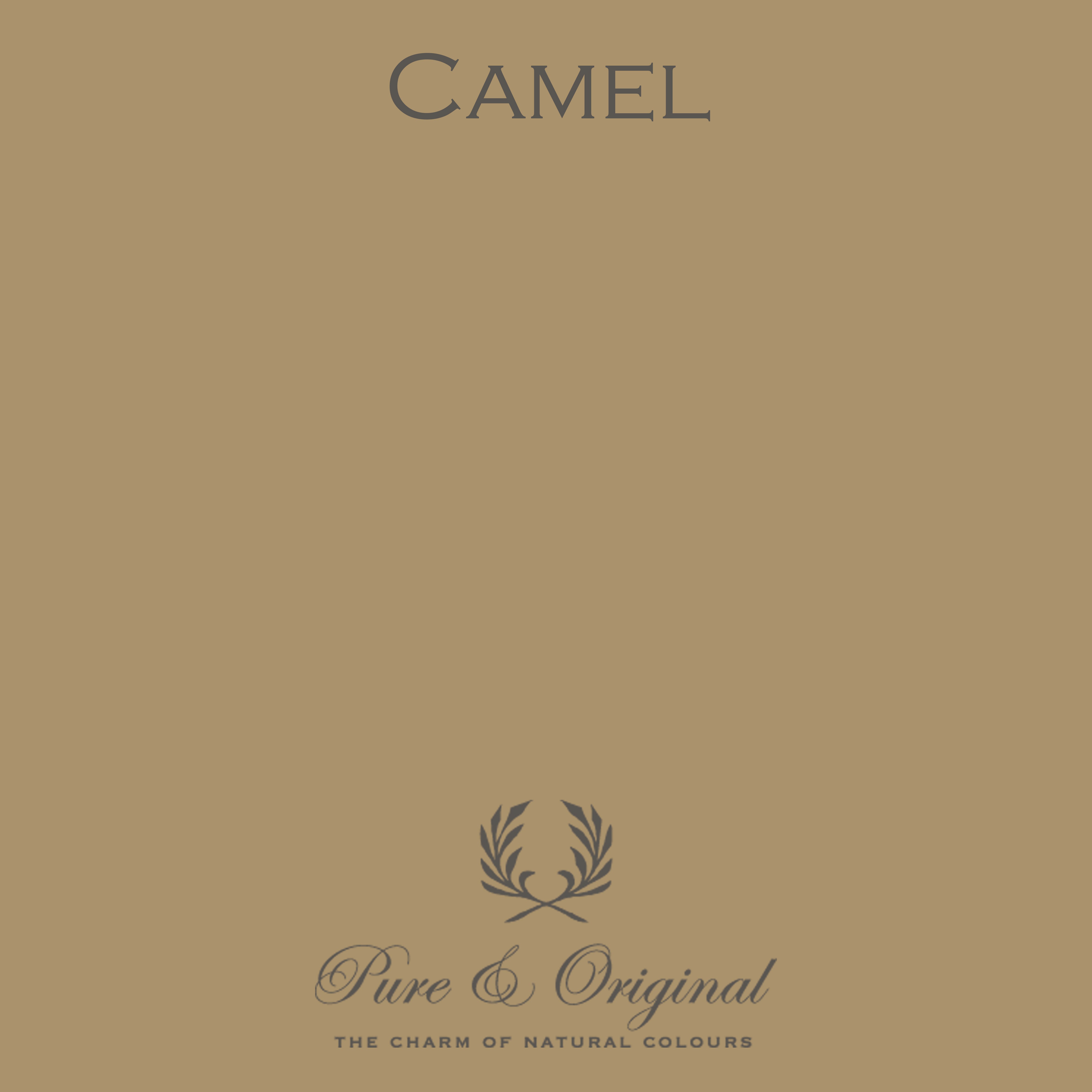 Wall Prim "Camel"