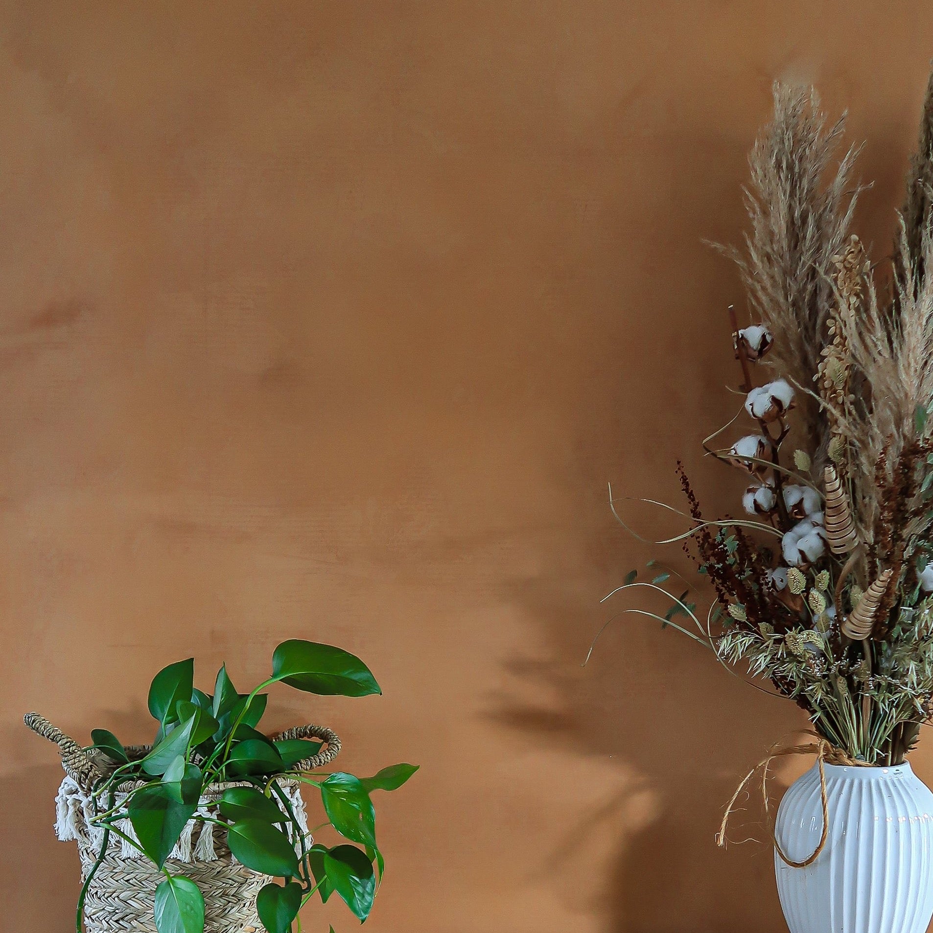 Marrakech Walls "Caramel"