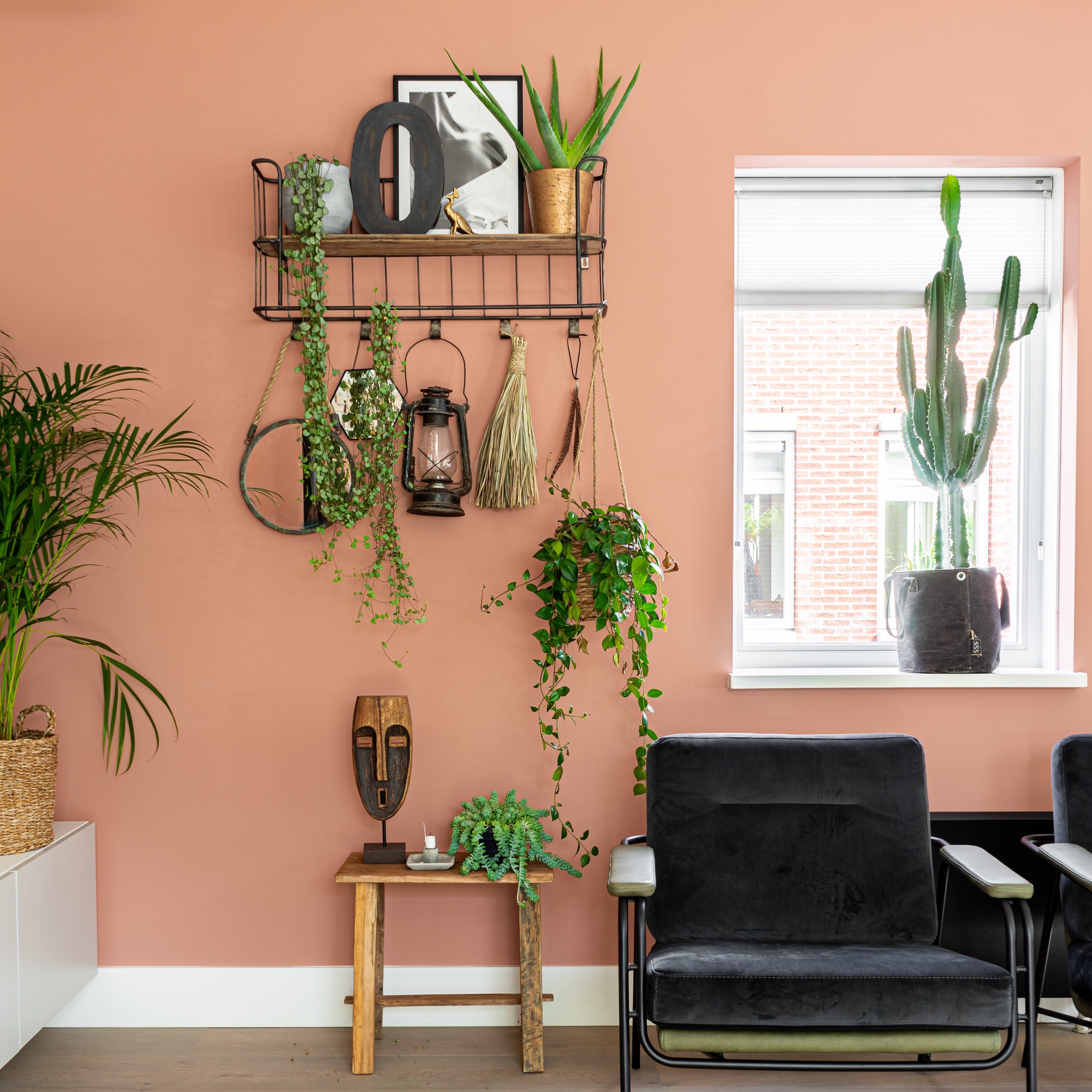 Licetto "Chalky Coral"