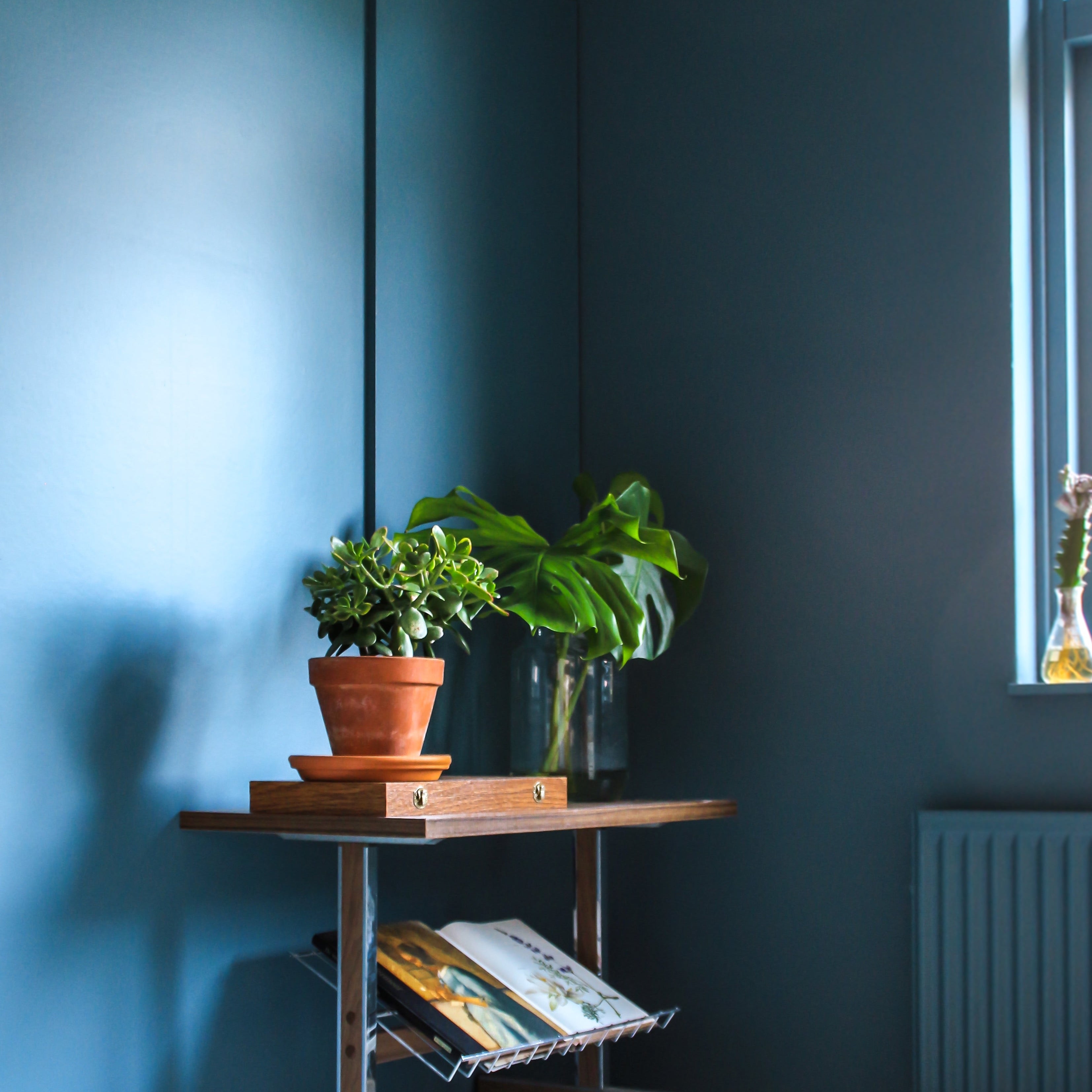 Licetto "Country Blue"