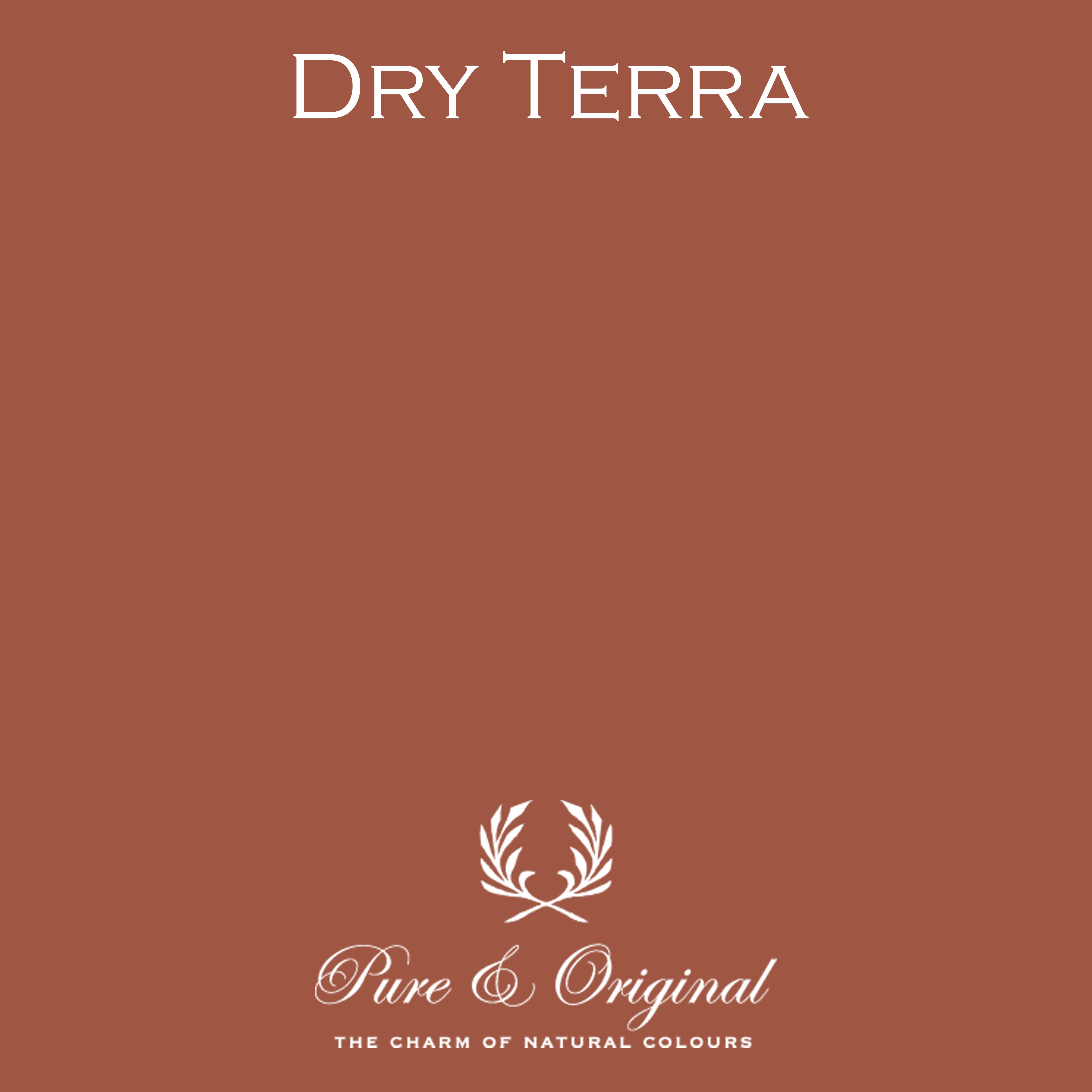 Licetto "Dry Terra"