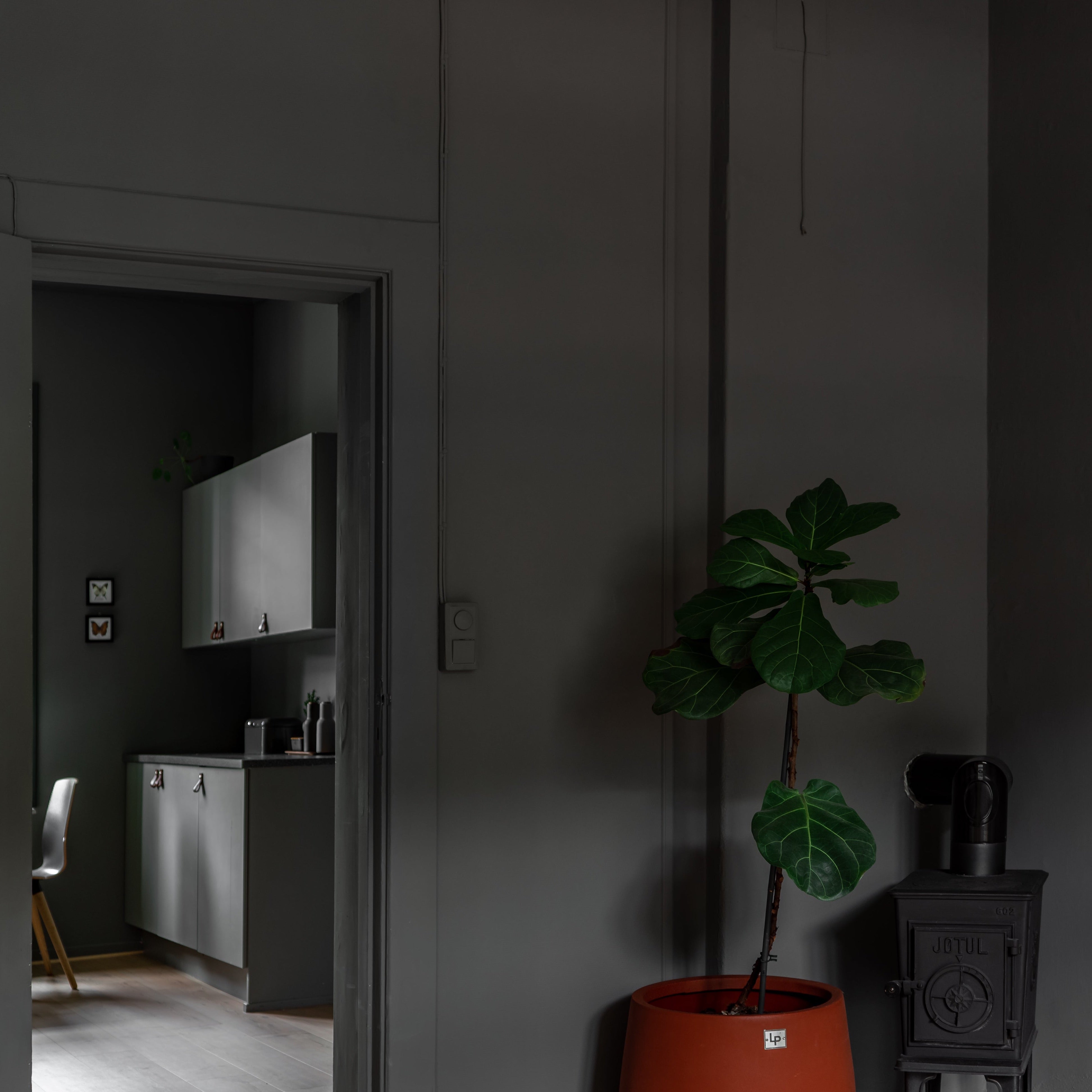 Licetto "Elephant Skin"