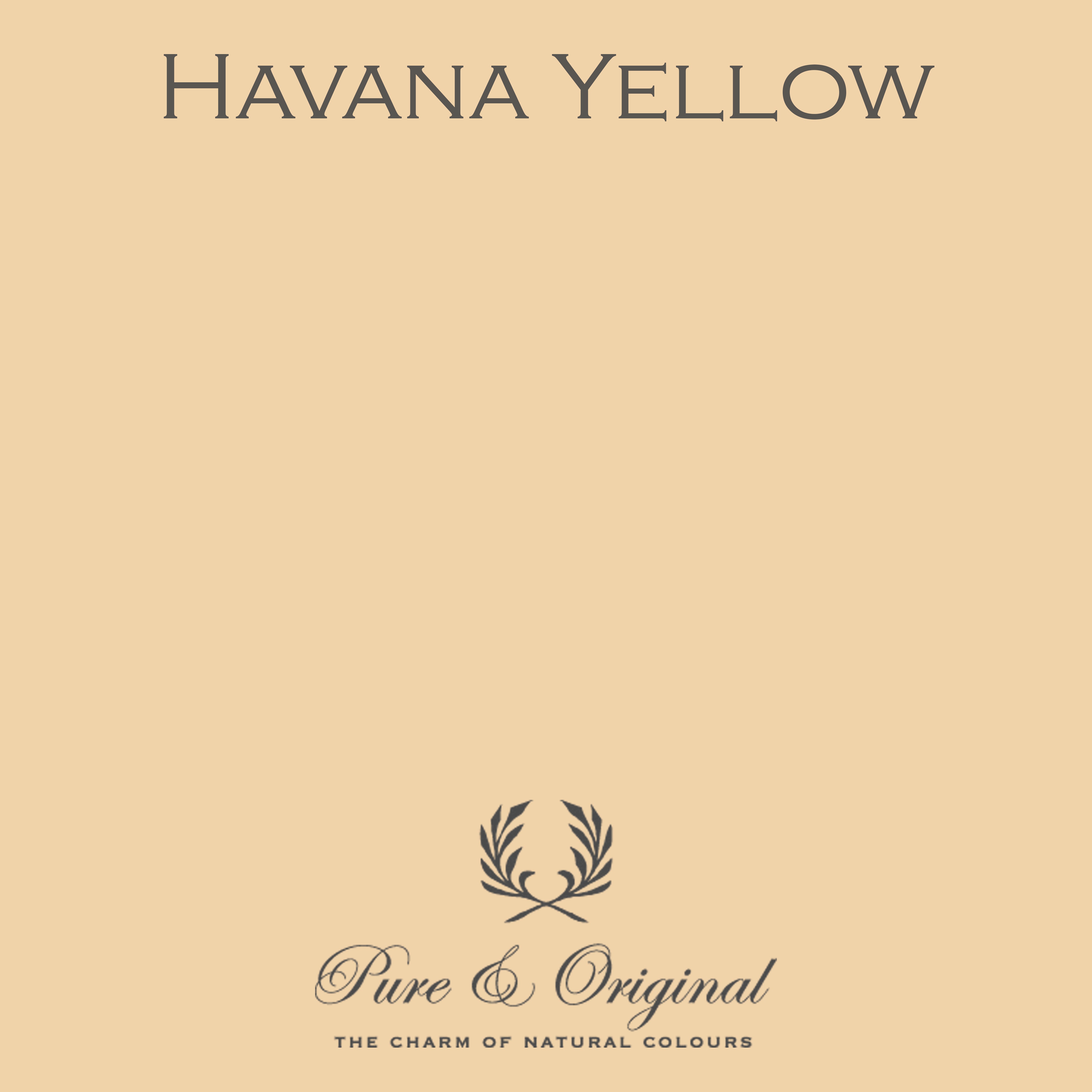 Traditional Paint Eggshell "Havana Yellow"