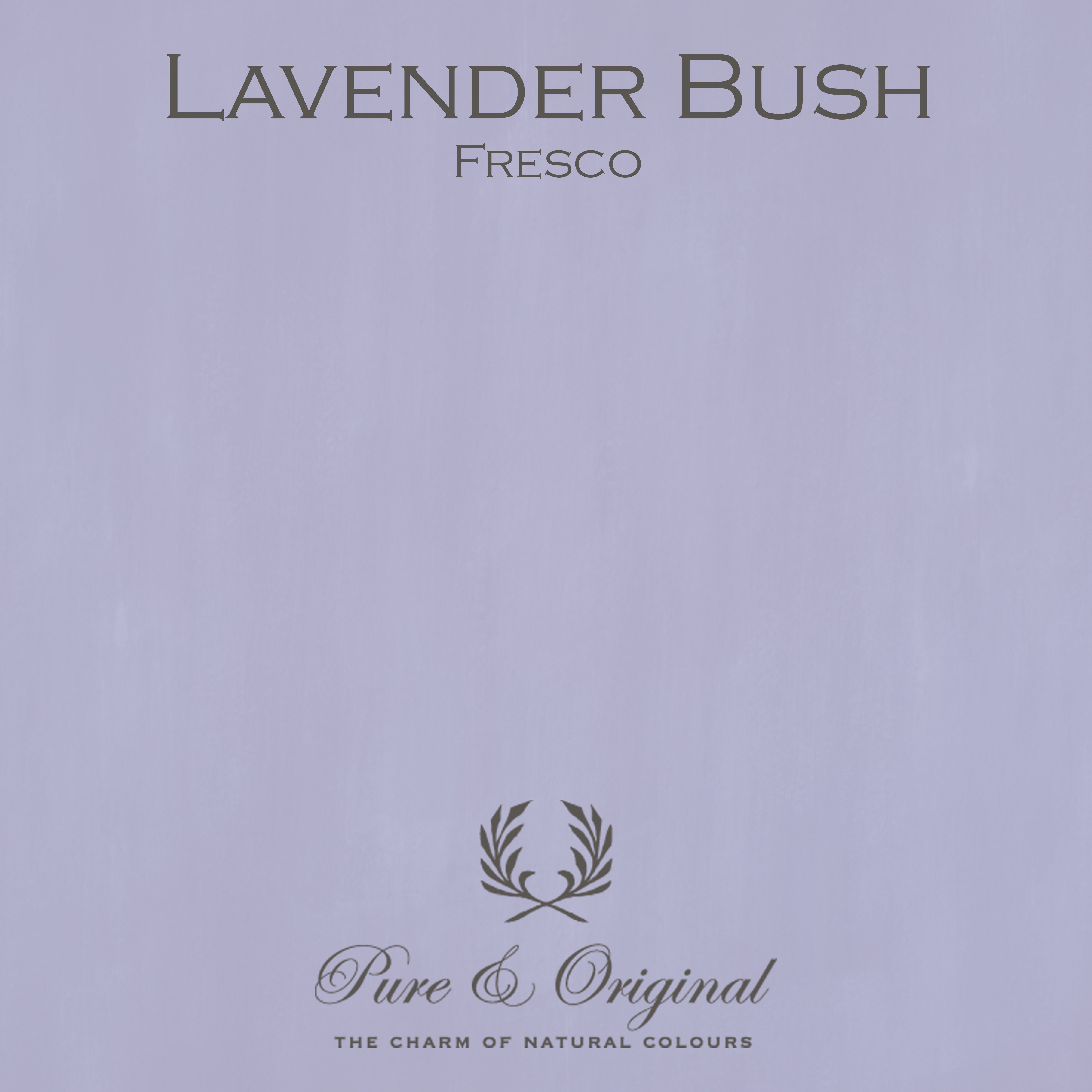 Fresco Kalkfarbe "Lavender Bush"