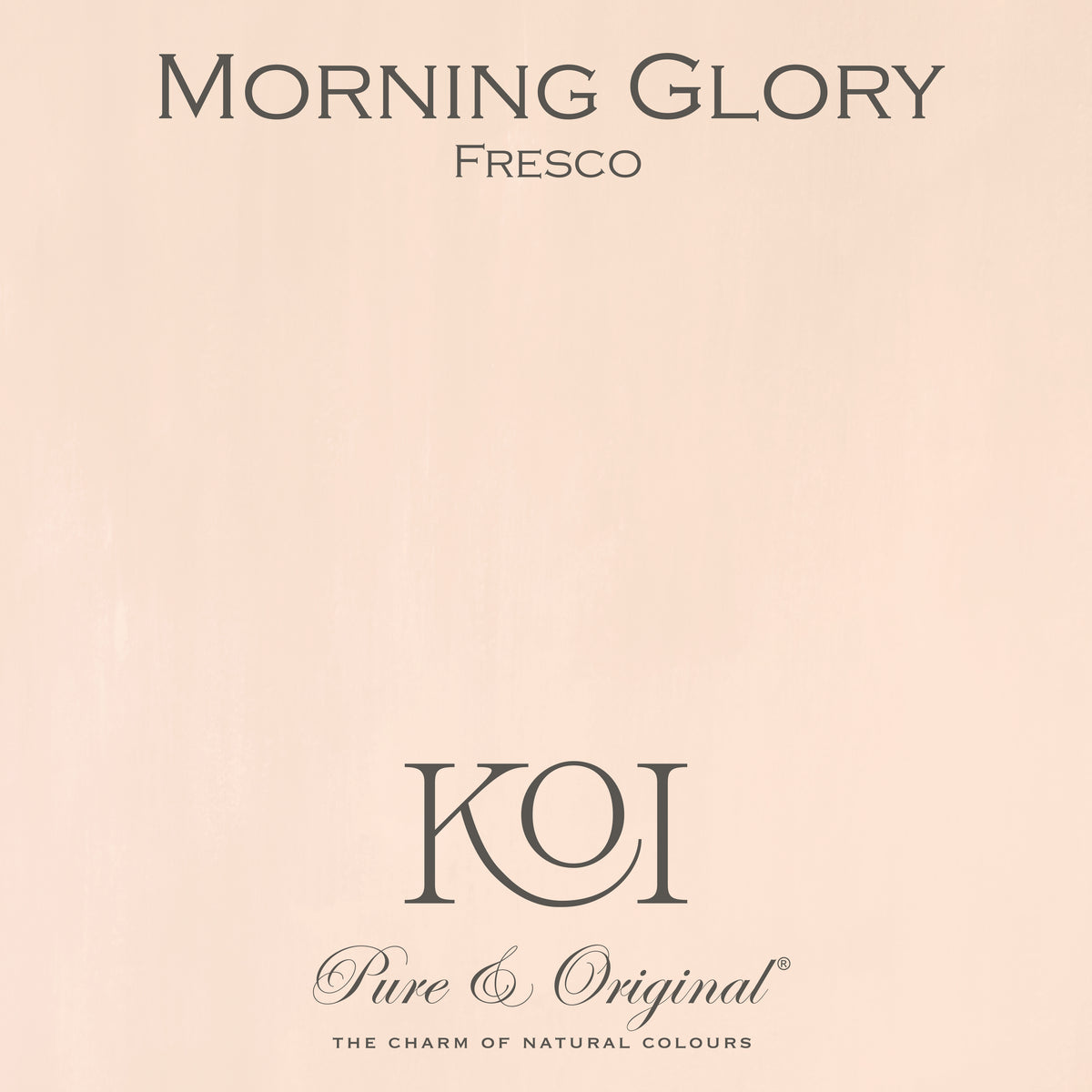 Fresco Kalkfarbe "Morning Glory"