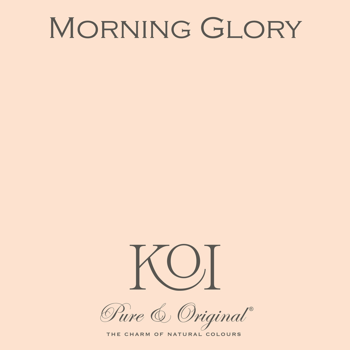 Traditional Paint Eggshell "Morning Glory"
