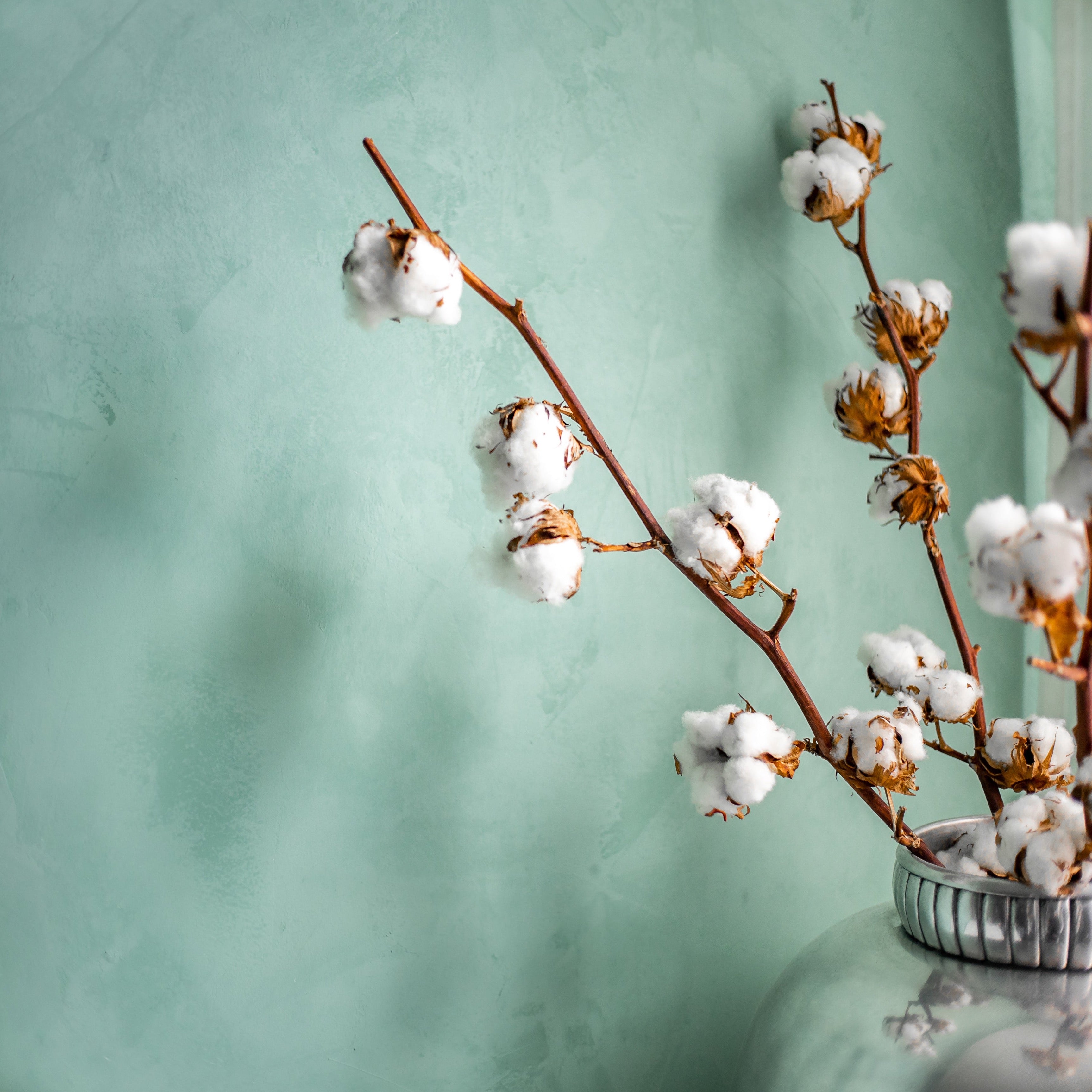 Marrakech Walls "Nautique"