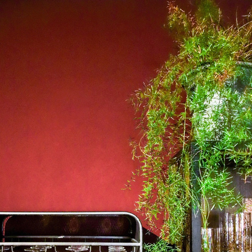 Classico Kreidefarbe "Old Red"