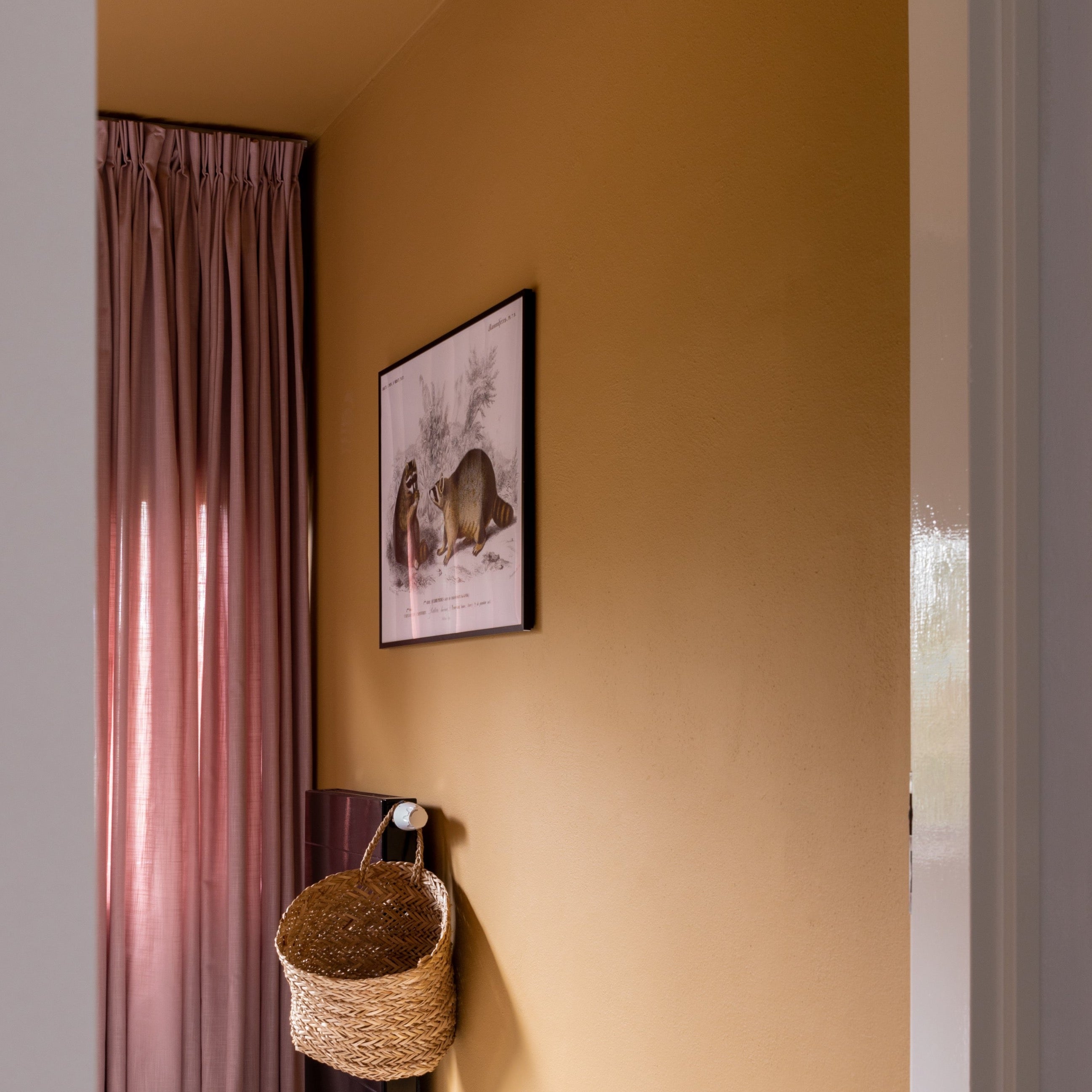 Licetto "Provincial Gold"