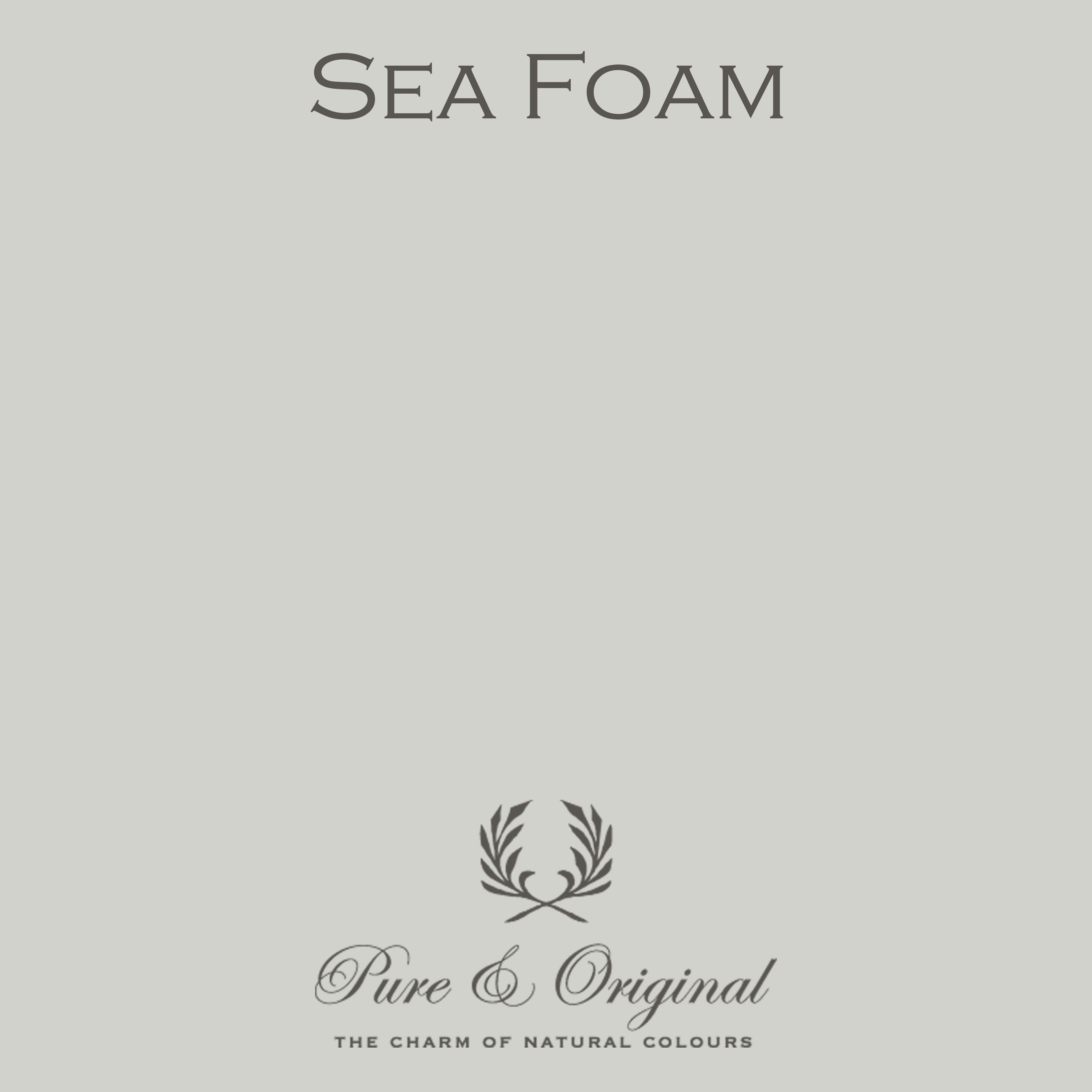 Traditional Paint Eggshell "Sea Foam"