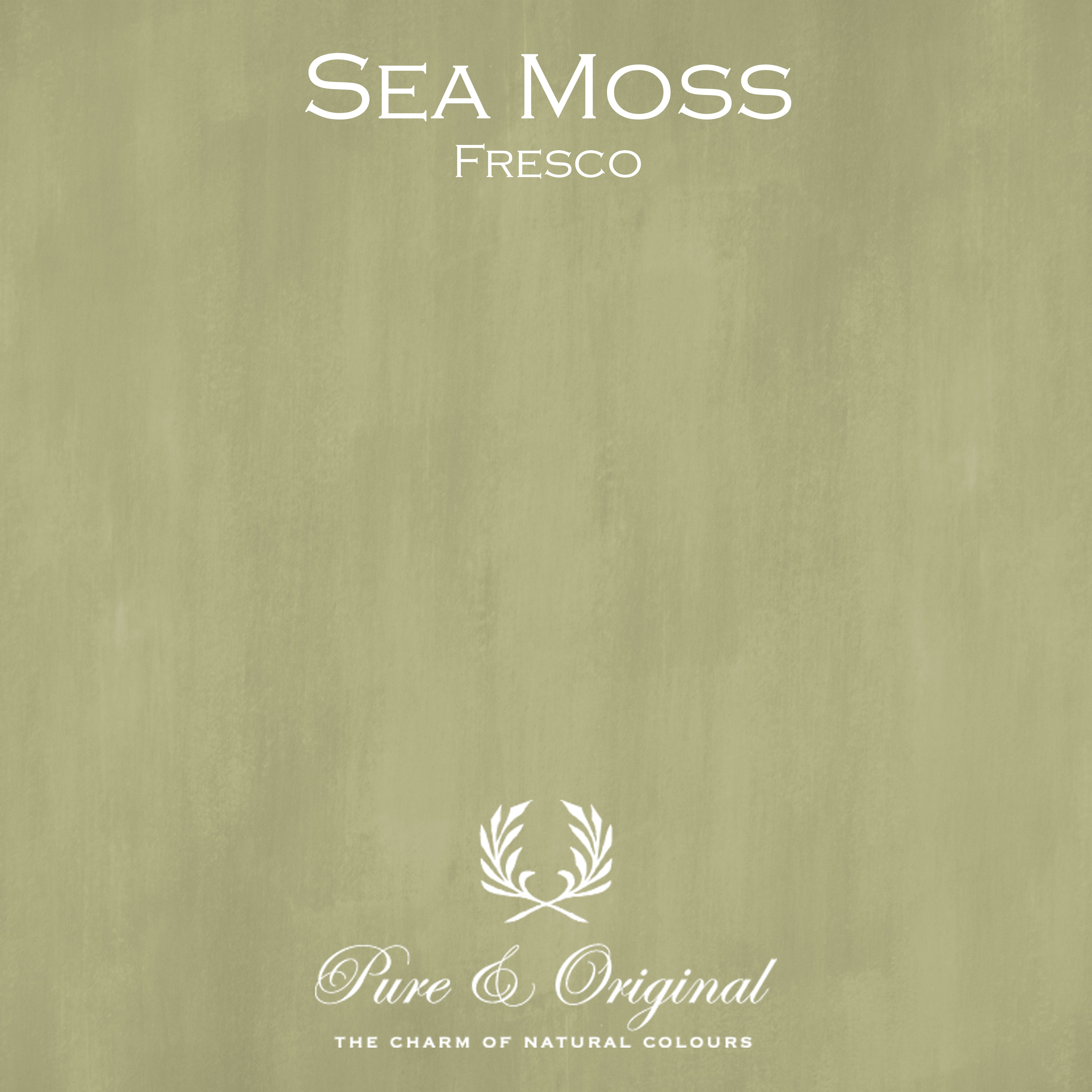 Fresco Kalkfarbe "Sea Moss"