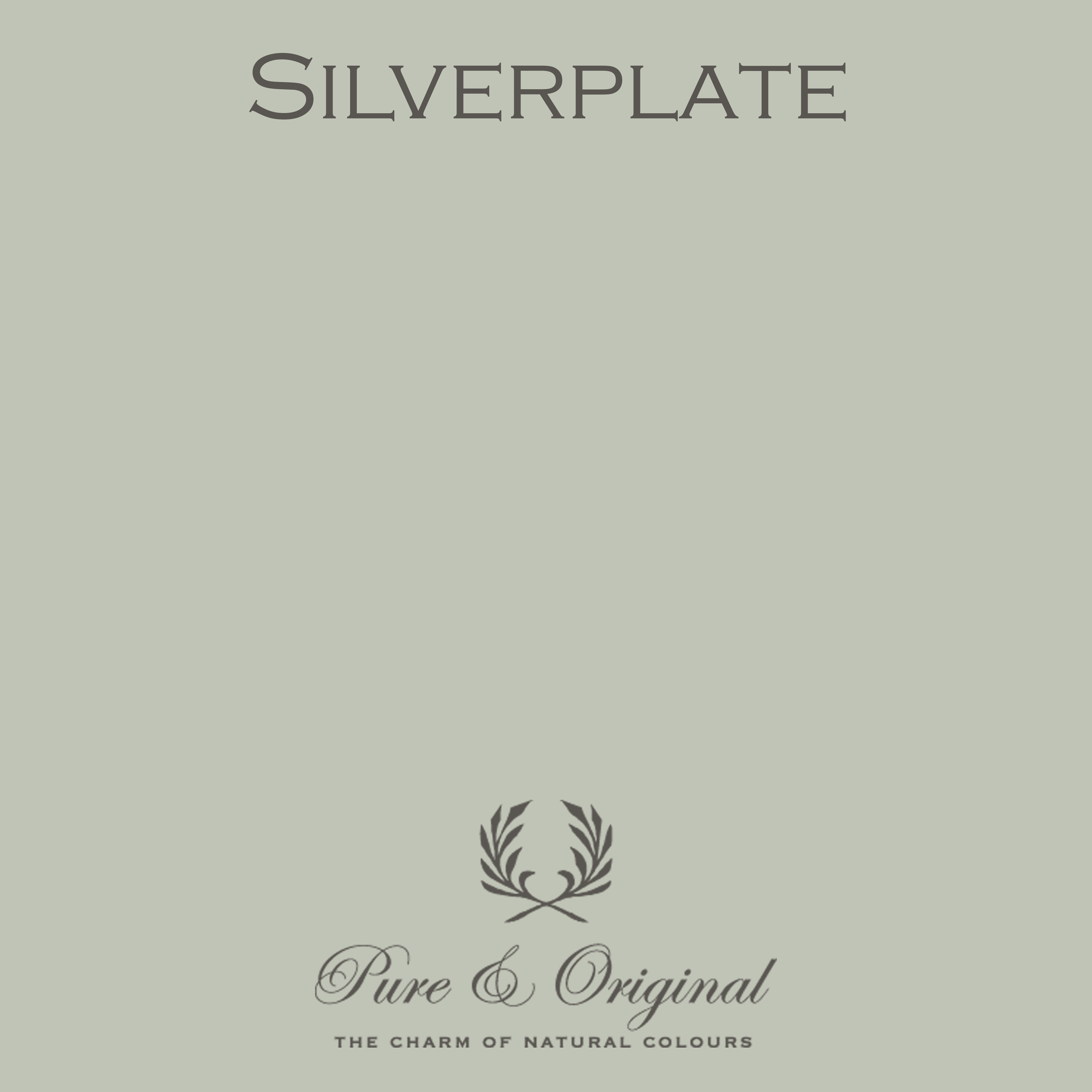 Traditional Paint Eggshell "Silverplate"