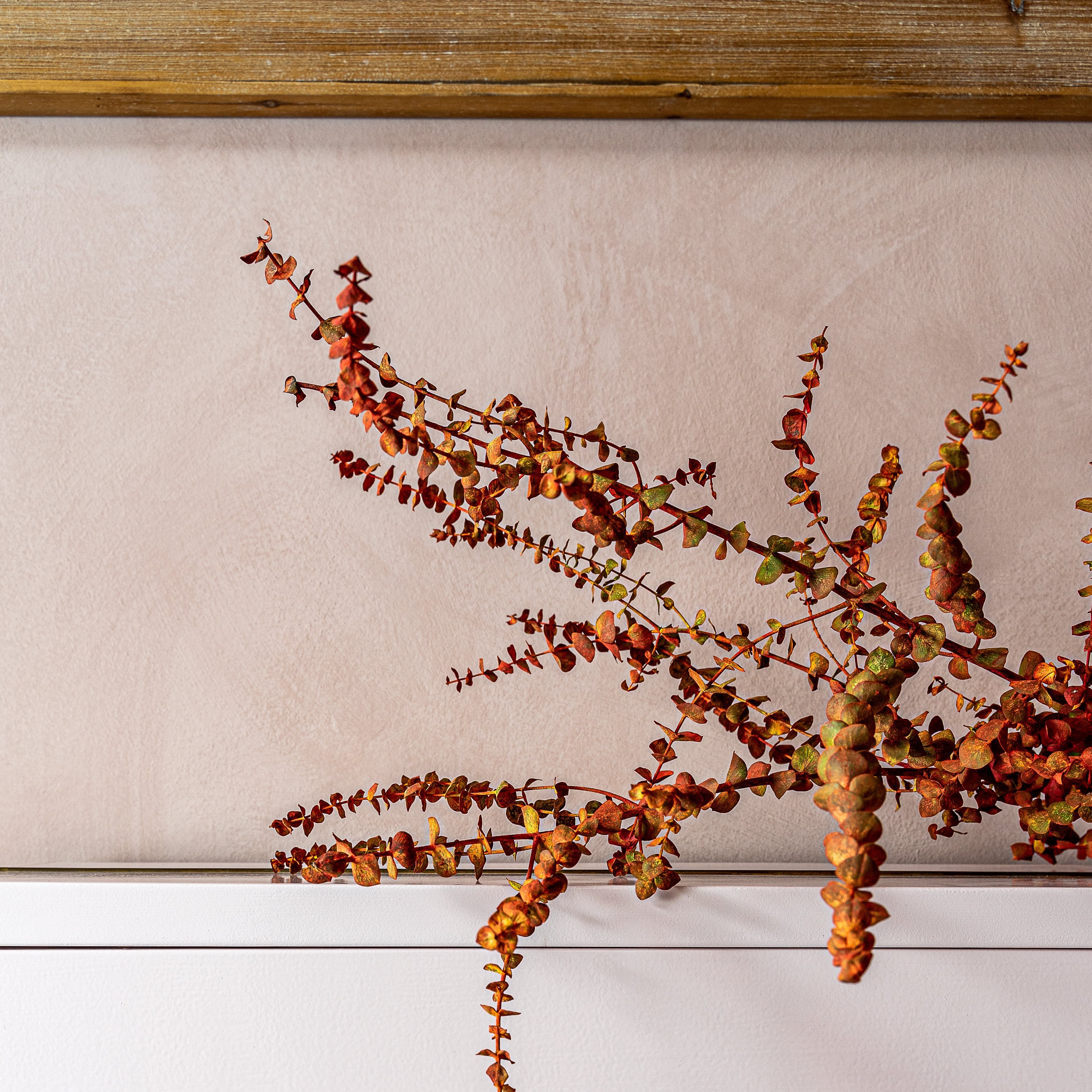 Fresco Kalkfarbe "Skin Powder"