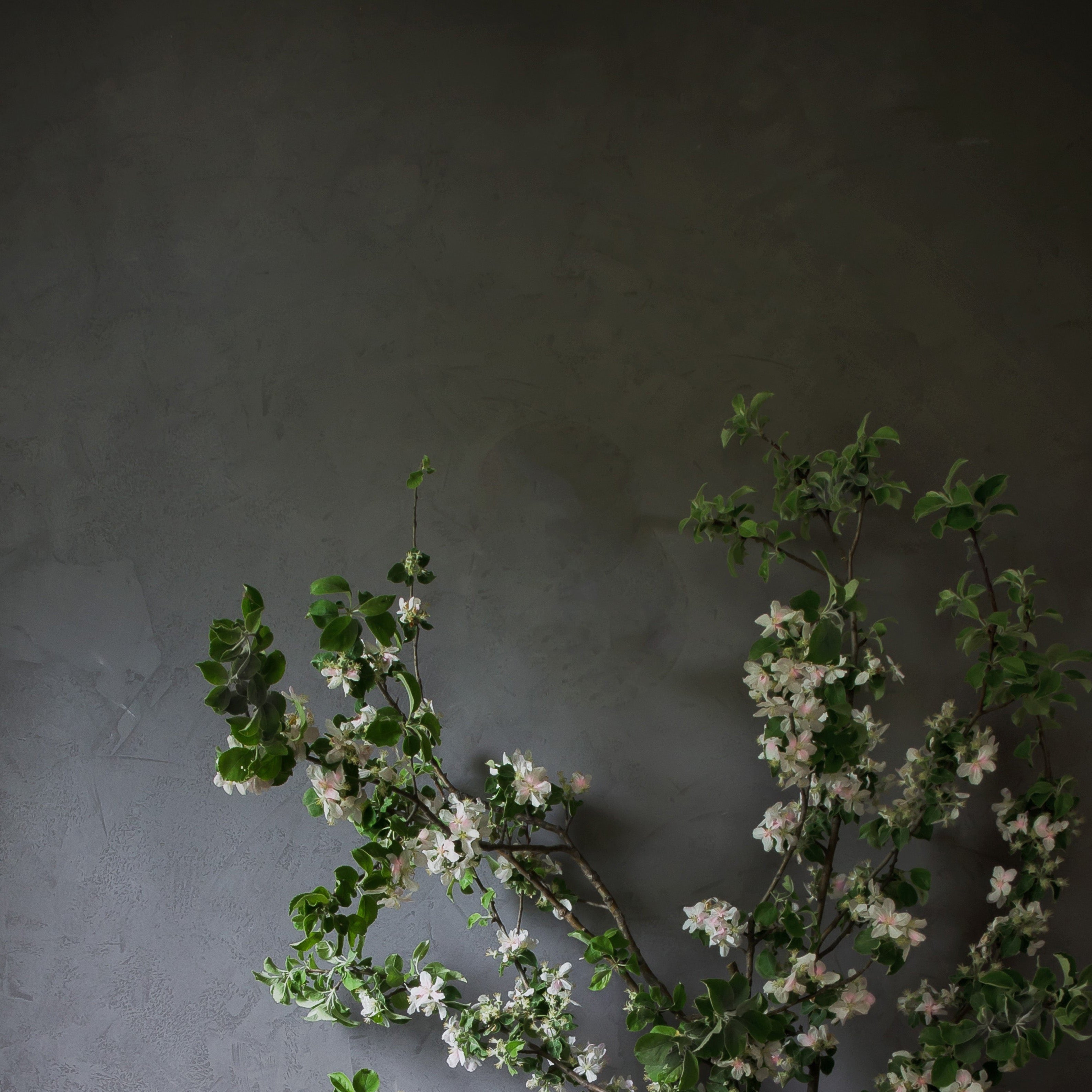 Marrakech Walls "Storm"