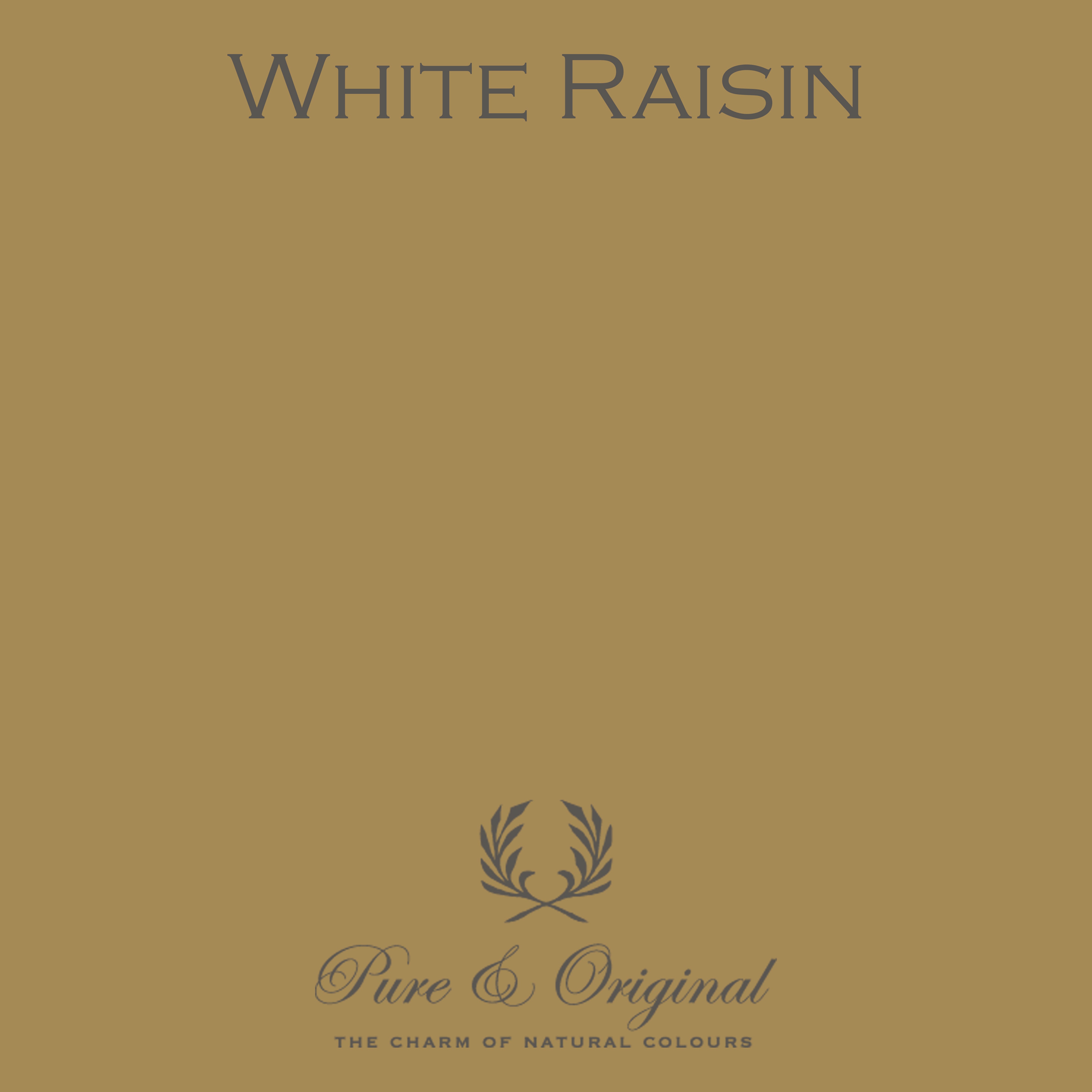 Wall Prim "White Raisin"