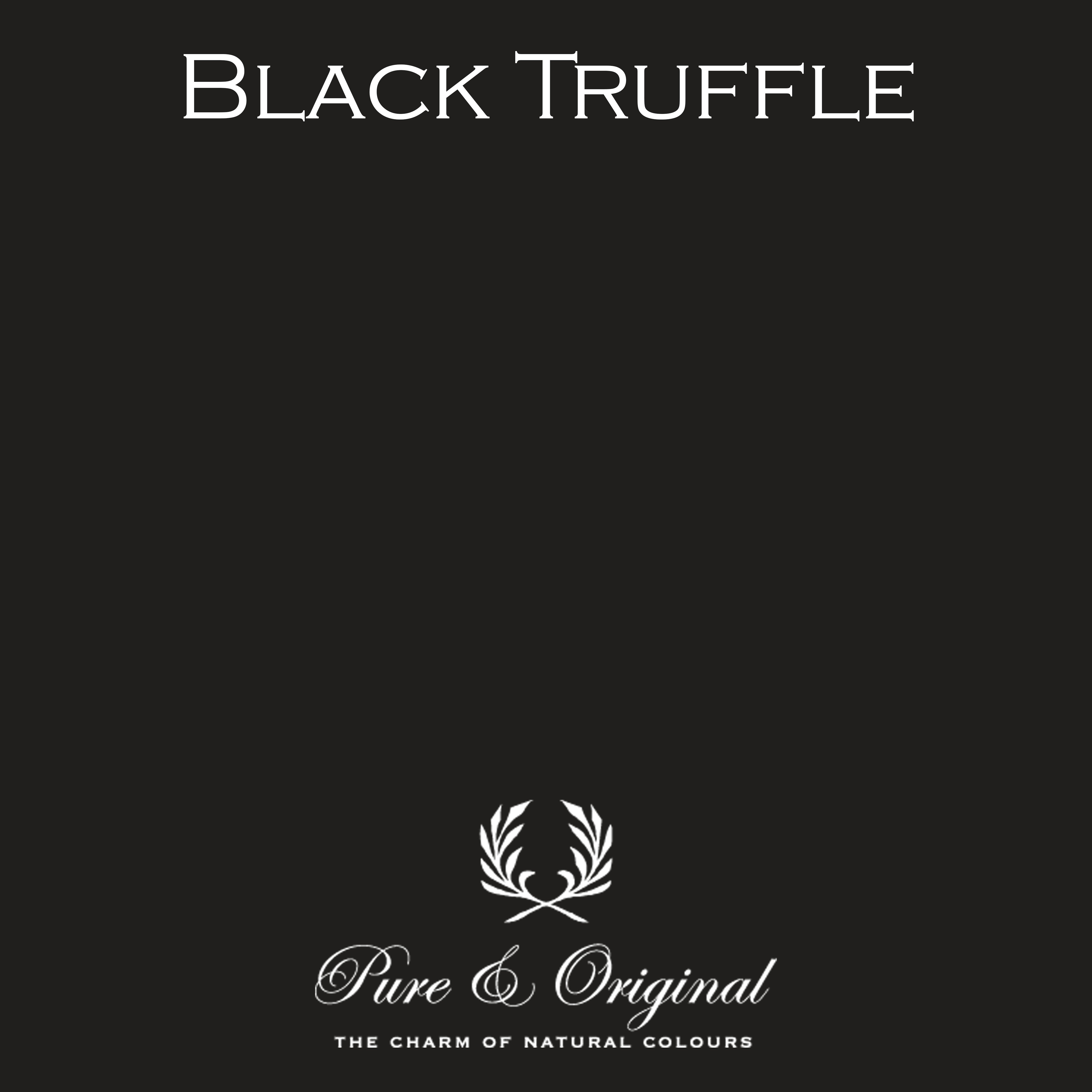 Traditional Paint Eggshell "Black Truffle"
