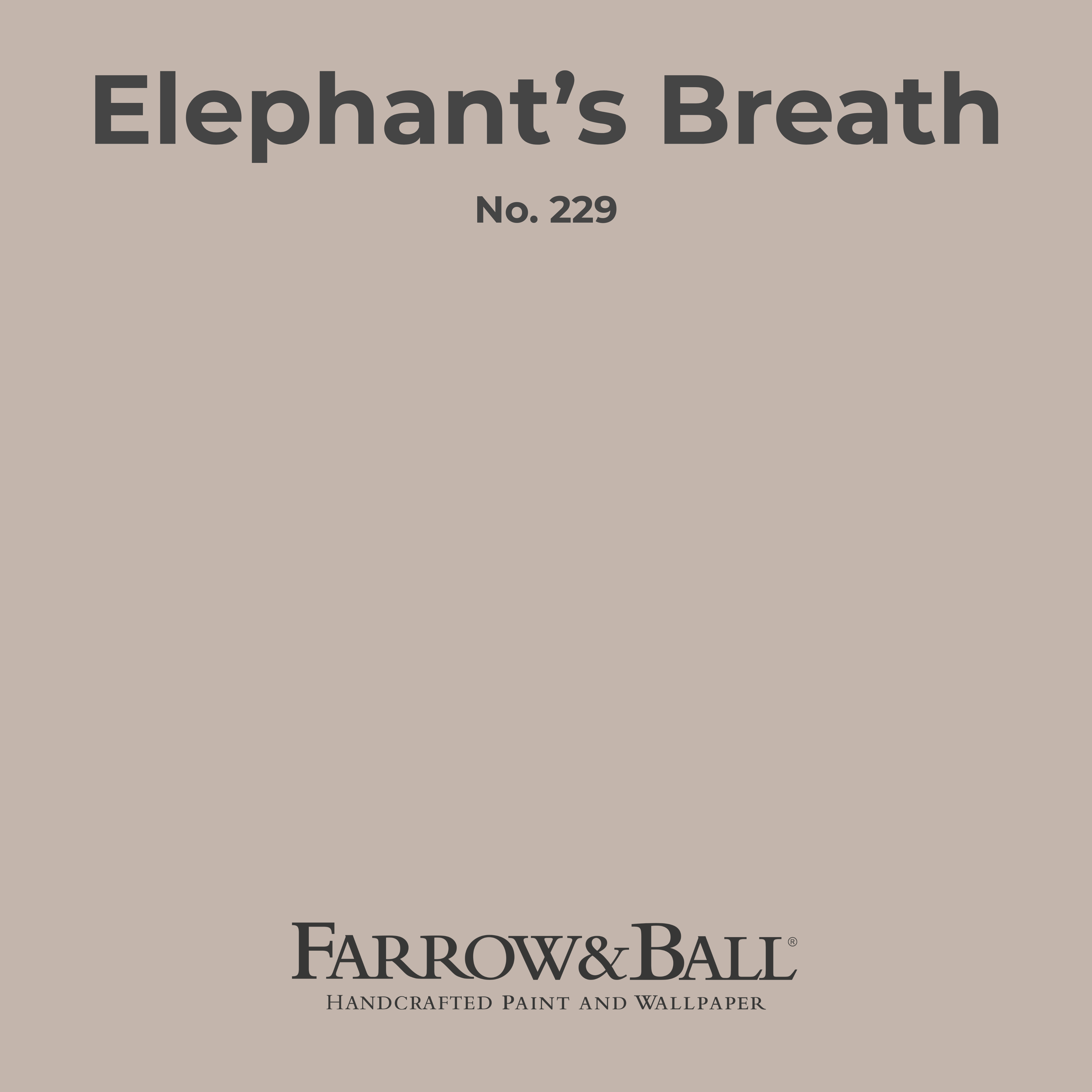 Estate Emulsion "Elephant's Breath No. 229"  2,50L