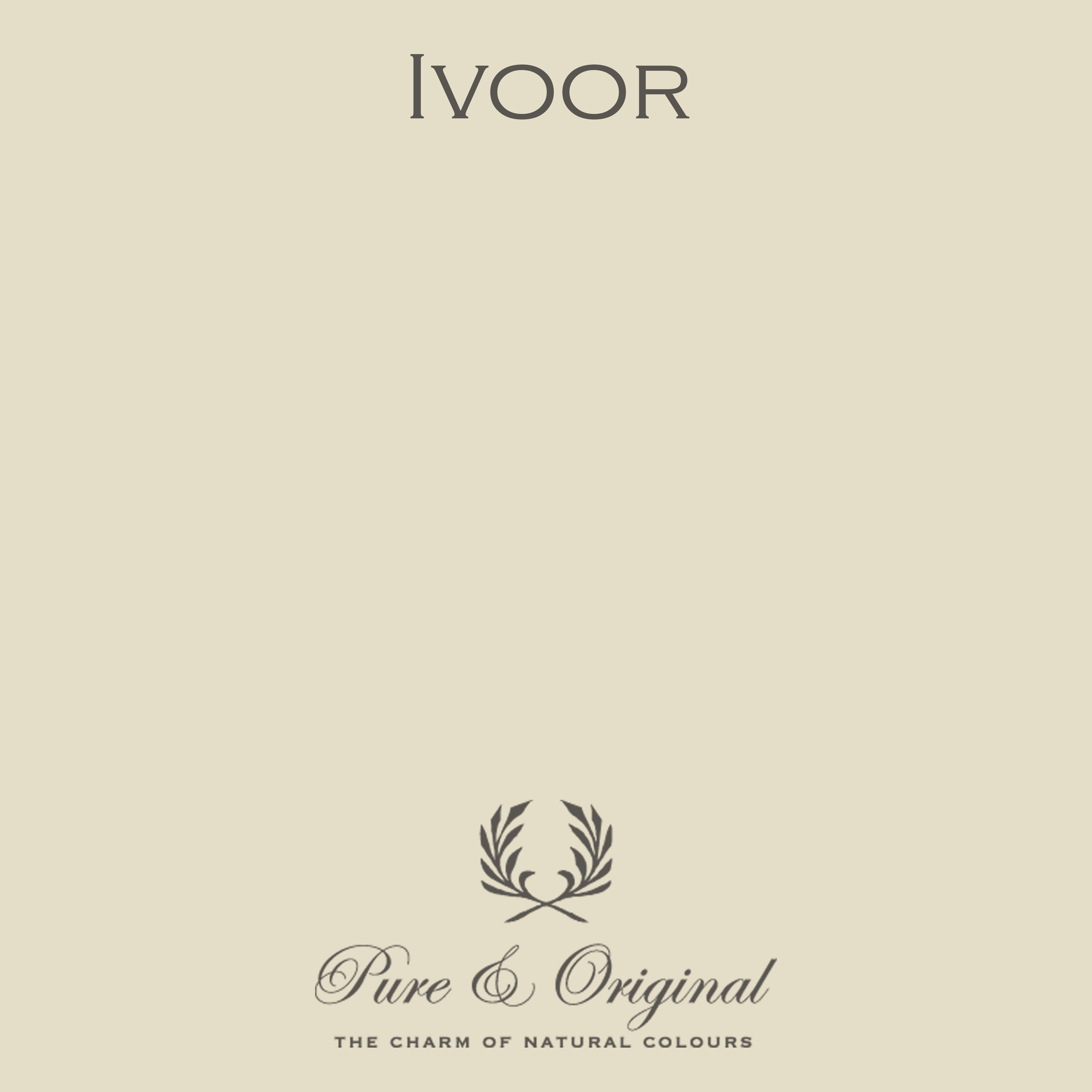 Licetto "Ivoor"