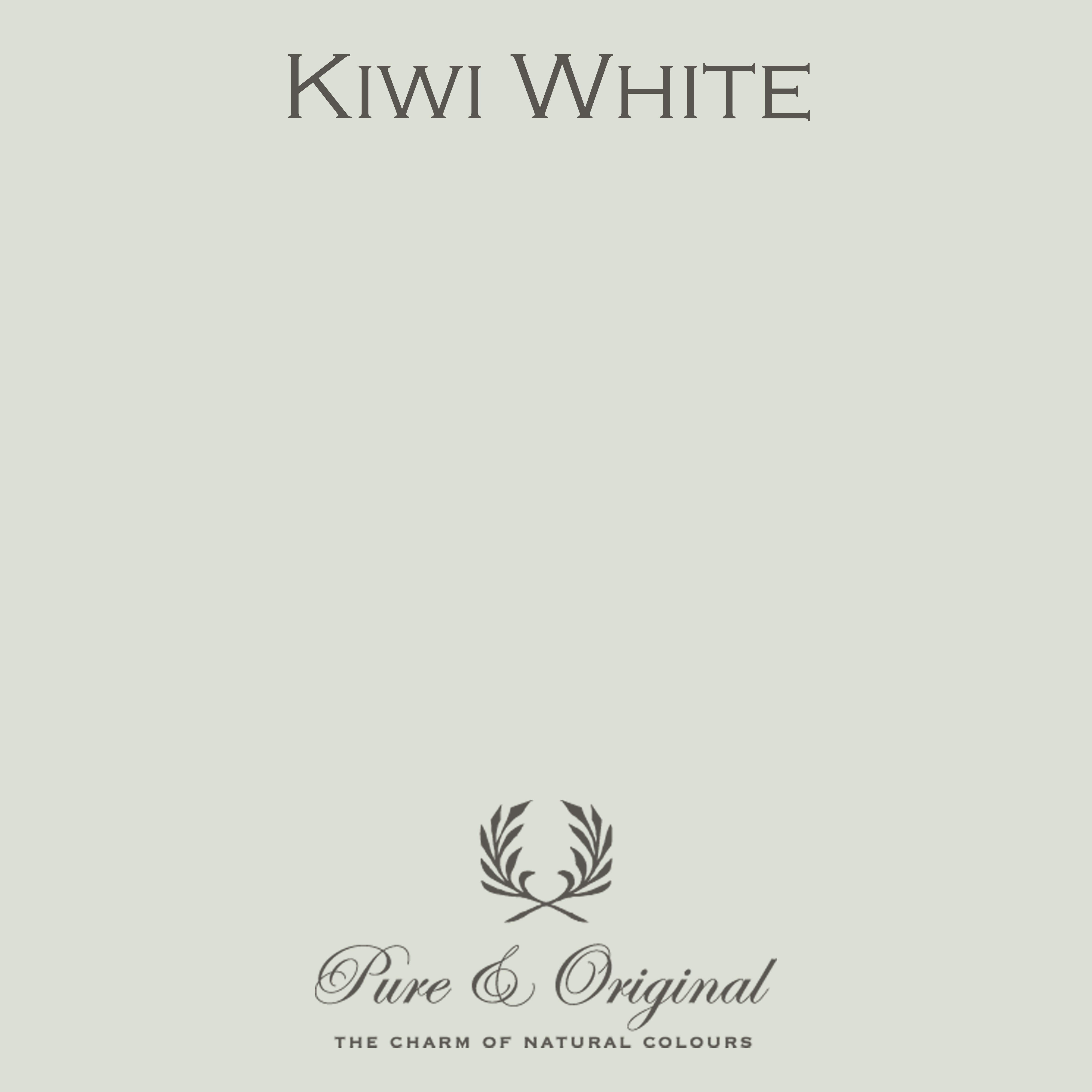Traditional Paint Eggshell "Kiwi White"