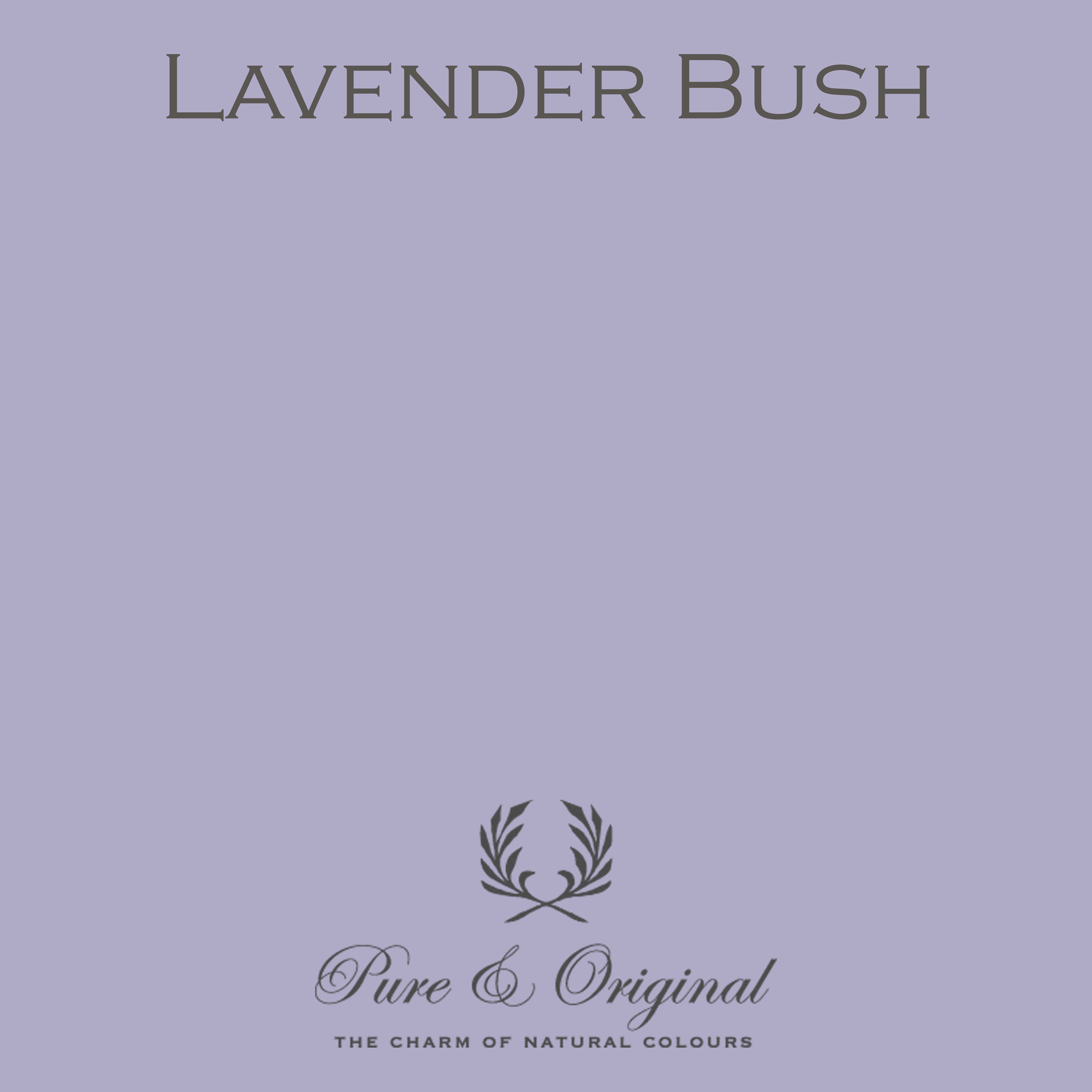 Traditional Paint Eggshell "Lavender Bush"