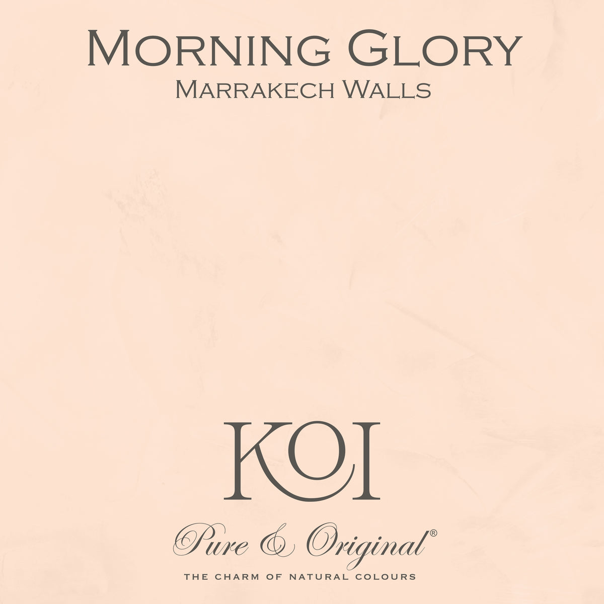 Marrakech Walls "Morning Glory"