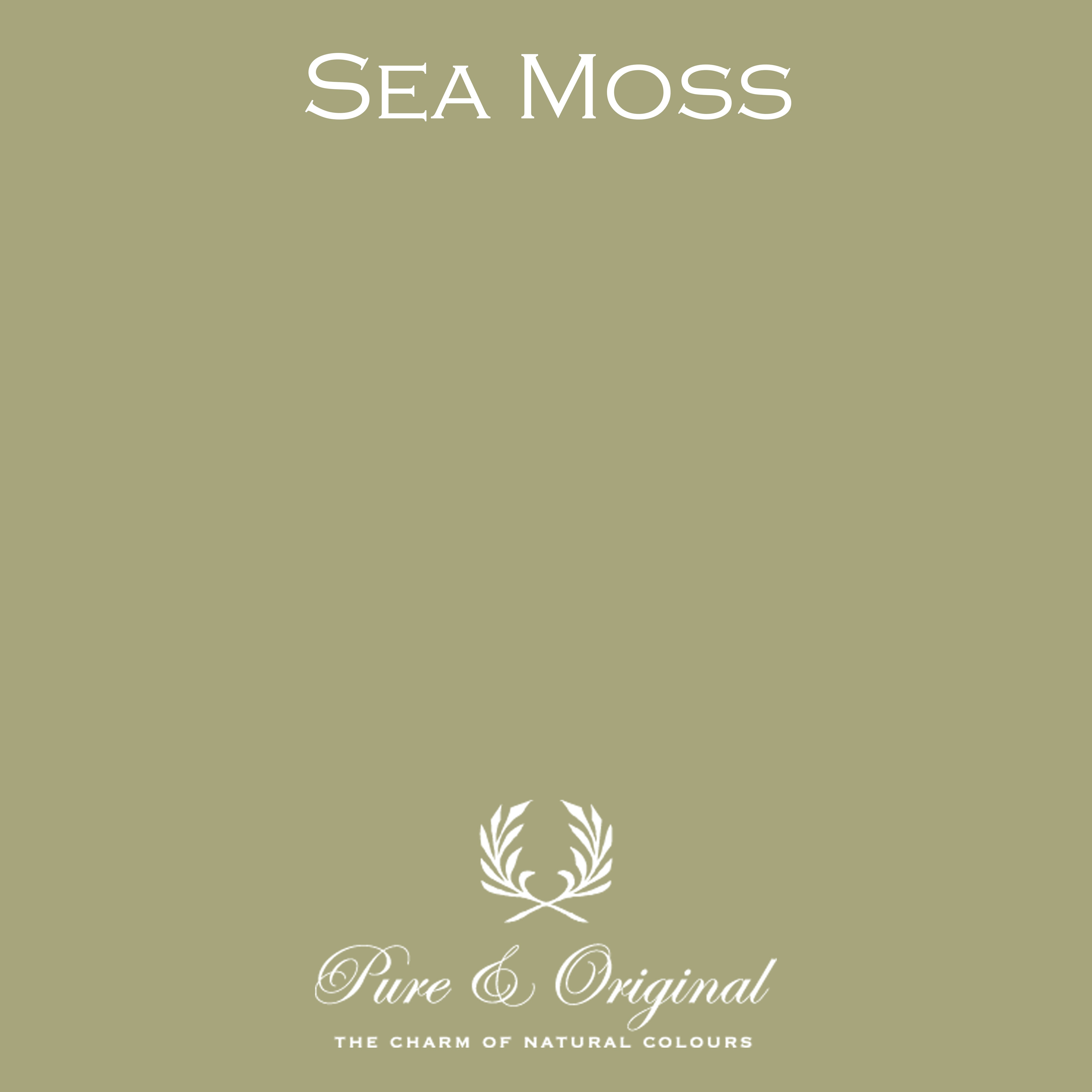 Traditional Paint Eggshell "Sea Moss"