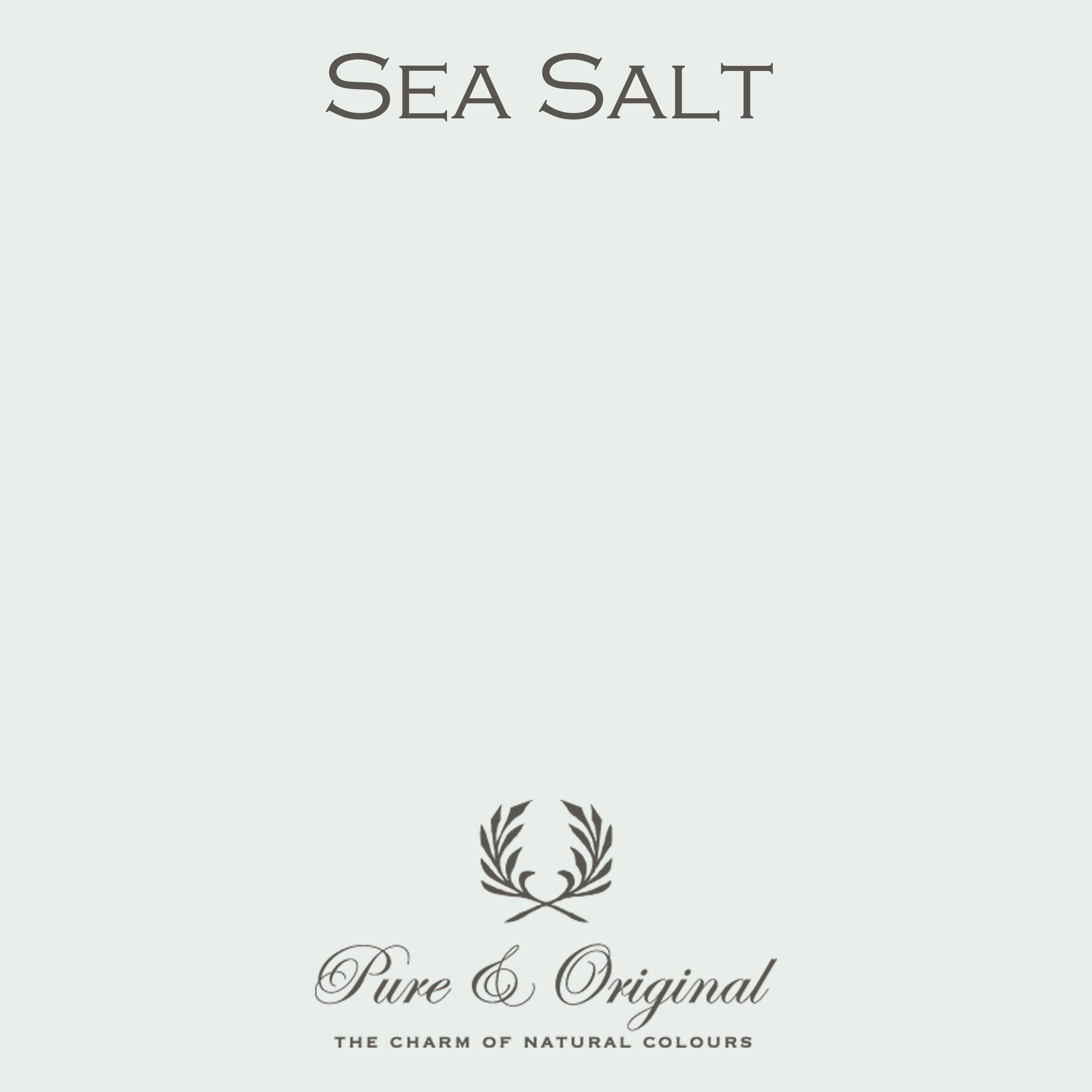 Traditional Paint Eggshell "Sea Salt"