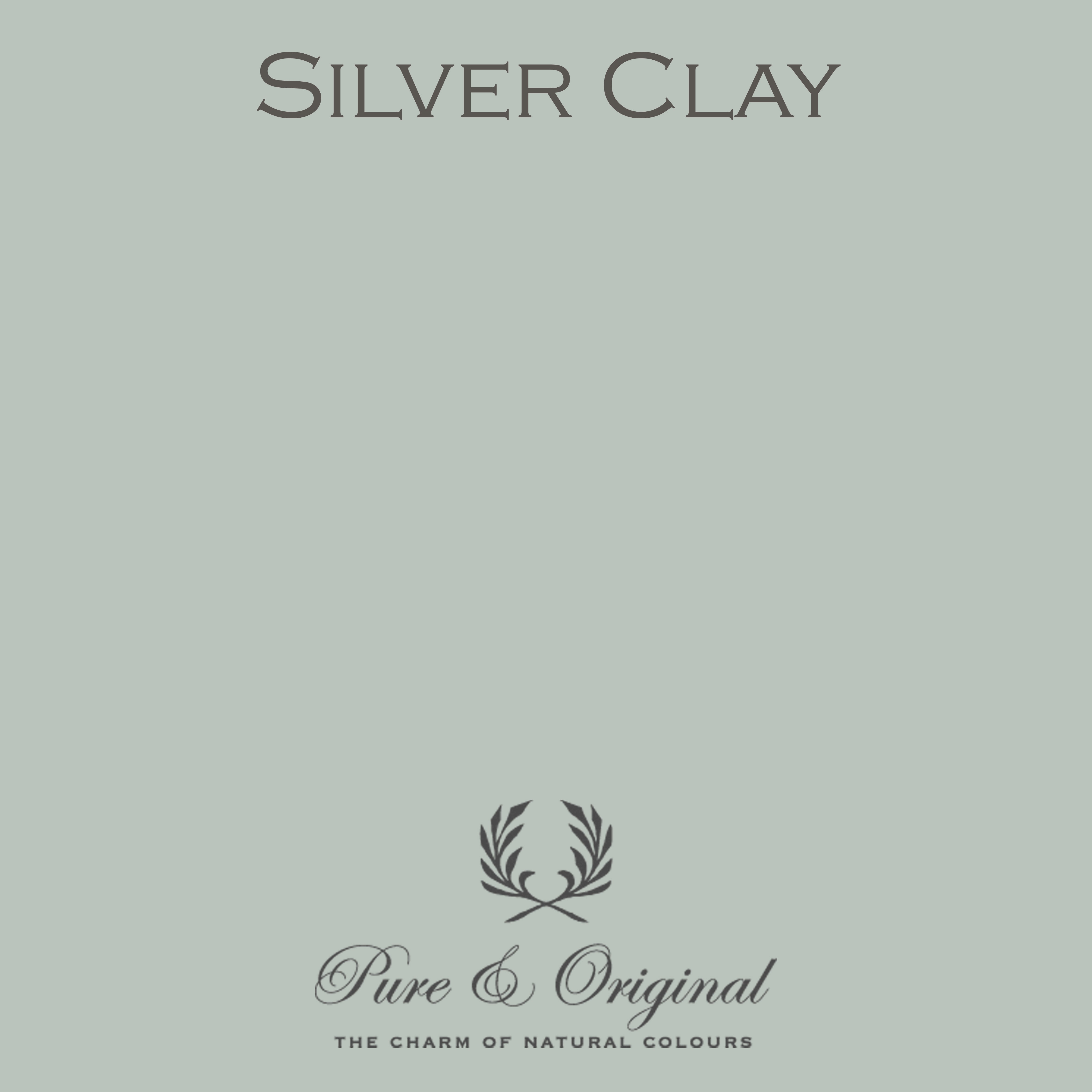 Traditional Paint Eggshell "Silver Clay"